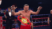 Punch Win GIF by RCC Sport