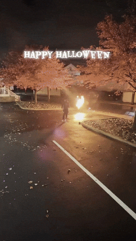 Batman Nyc GIF by dupreegod