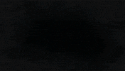 Drink Up Happy Hour GIF by Yolo Rum