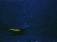 world war 2 flight GIF by US National Archives