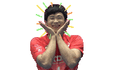 Kepco vixtorm 한국전력 빅스톰 한국전력빅스톰 Sticker