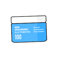 wellage wellage 웰라쥬 토너패드 tonerpad Sticker