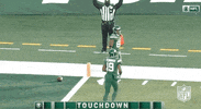 Regular Season Football GIF by NFL