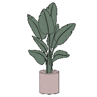 Home Plant Sticker by Parachute