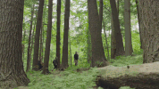 College Burlington GIF by University of Vermont