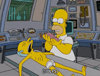 homer simpson GIF