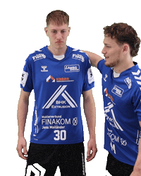 Handball Sticker by HSGSpradow