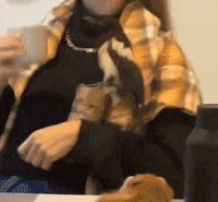 Viniavibes GIF by VINIA Media