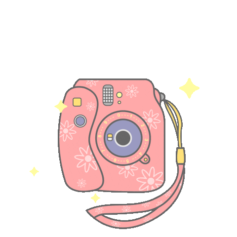 sheilawong giphyupload new post camera polaroid Sticker
