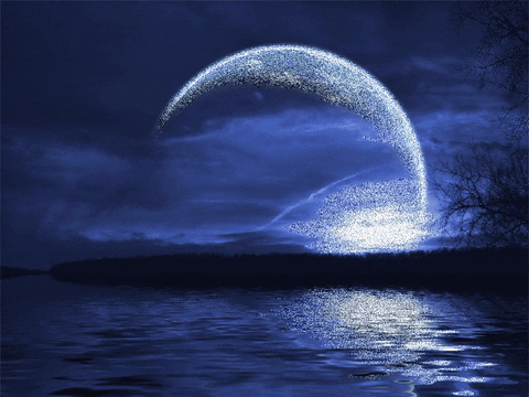 new moon GIF
