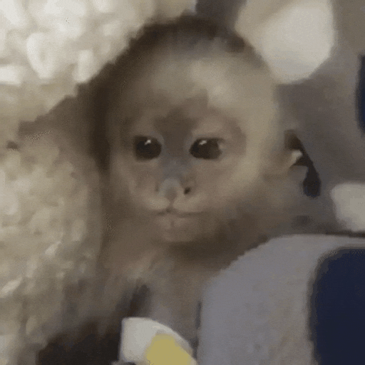 Chill Eating GIF