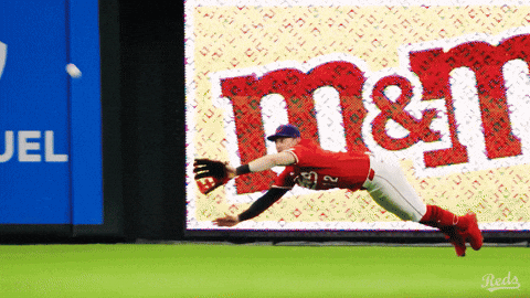 Celebration Yell GIF by Cincinnati Reds