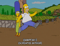 homer simpson GIF