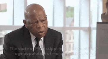 Freedom Summer GIF by GIPHY News