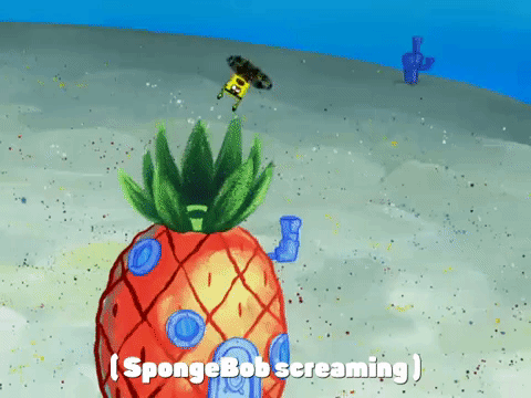 season 4 GIF by SpongeBob SquarePants