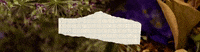 Mj Books GIF by Meggan Joy
