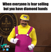 Elon Musk Bitcoin GIF by FEX