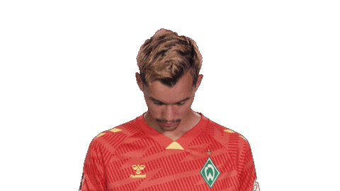 Werder Bremen Sticker by Bundesliga