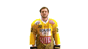 Hockey Ice Sticker by Vienna Capitals