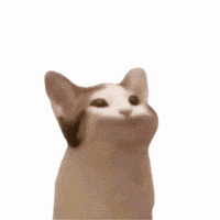 Only_Maxi cat memes gone popcat GIF