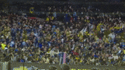selecao brasileira football GIF by Confederação Brasileira de Futebol