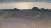 your name GIF by Funimation