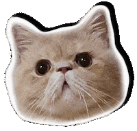 Cat Love Sticker by Lovella Organics