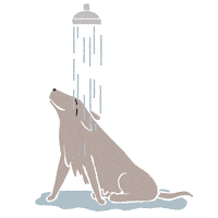 Happy Dog Sticker by Thoka Maer