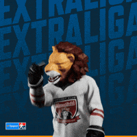 Hockey Hokej GIF by Tipsport extraliga