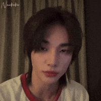 Stray Kids Skz GIF