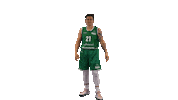 Sport Basketball Sticker by Basket_fi