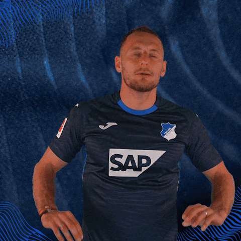 Sport Bundesliga GIF by TSG Hoffenheim