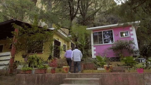 andrew zimmern GIF