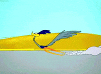 Papaleguas GIF