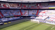 GIF by FOX Sports