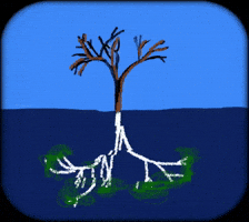 Inside And Out Water GIF by Barbara Pozzi