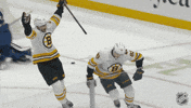 Happy National Hockey League GIF by NHL