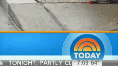 newscaststudio giphyupload GIF