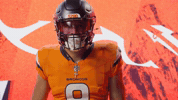 Denver Broncos Football GIF by Broncos