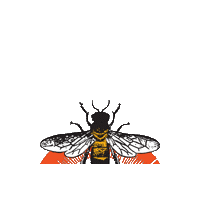 TheCaliforniaHoneyDrops honeydrops californiahoneydrops thehoneydrops thecaliforniahoneydrops Sticker