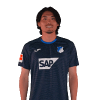 Sport Bundesliga Sticker by TSG Hoffenheim