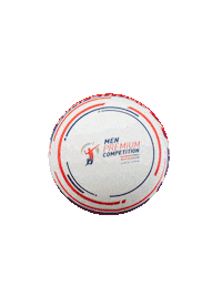 Mwc19 Fistballmwc19 Sticker by IFA Fistball