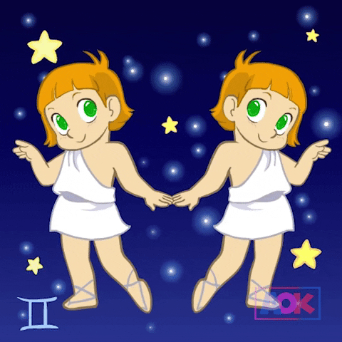 twins gemini GIF by AOK