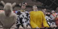 university of minnesota basketball GIF by Minnesota Gophers