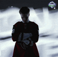 nhl sports sport hockey nhl GIF