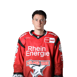 Hockey Nhl Sticker by Koelner Haie