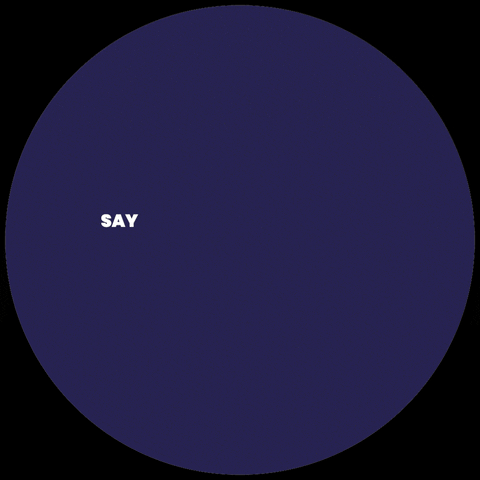 GIF by Say Zonte!