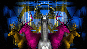 Glow Video Art GIF by limeartgroup