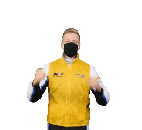 Yann Ehrlacher Racing Sticker by FIA World Touring Car Cup