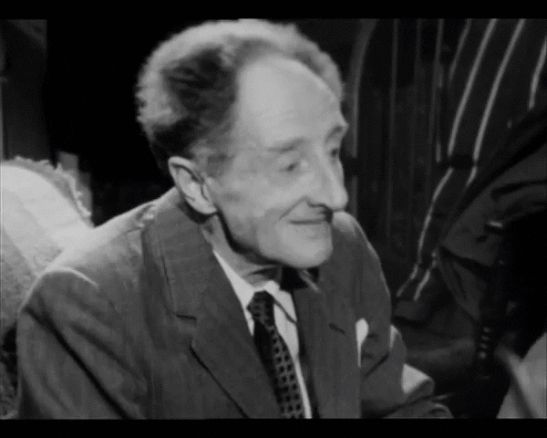 cipolwg360 giphyupload GIF